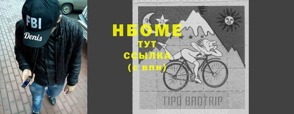 стафф Новодвинск