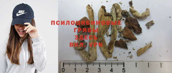 прущая мука Новозыбков
