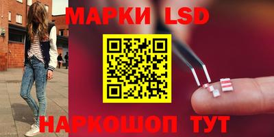 крисы Беслан