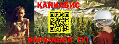 крисы Донской