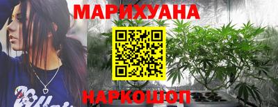 крисы Беслан