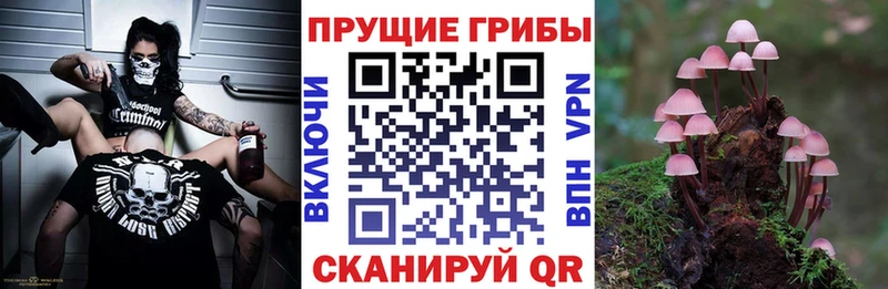 Галлюциногенные грибы GOLDEN TEACHER Изобильный