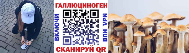 Галлюциногенные грибы Psilocybe  Изобильный 