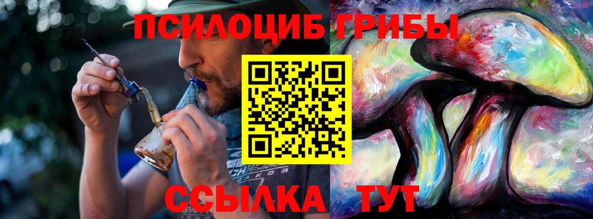 Псилоцибиновые грибы Psilocybe  Изобильный 