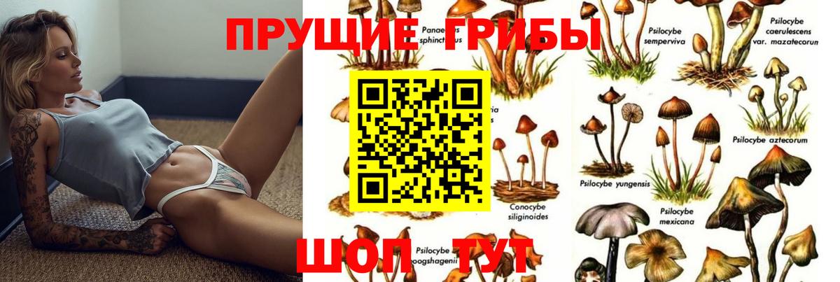 цены наркотик  Галлюциногенные грибы Psilocybe  Вход с VPN  Изобильный 