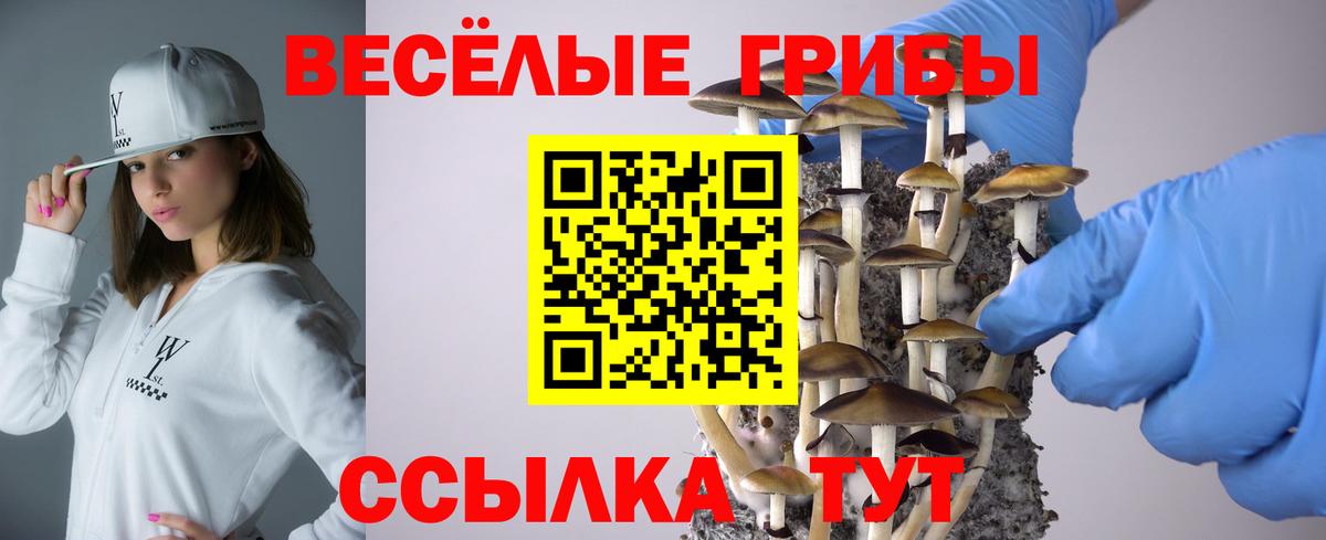 Псилоцибиновые грибы ЛСД Изобильный