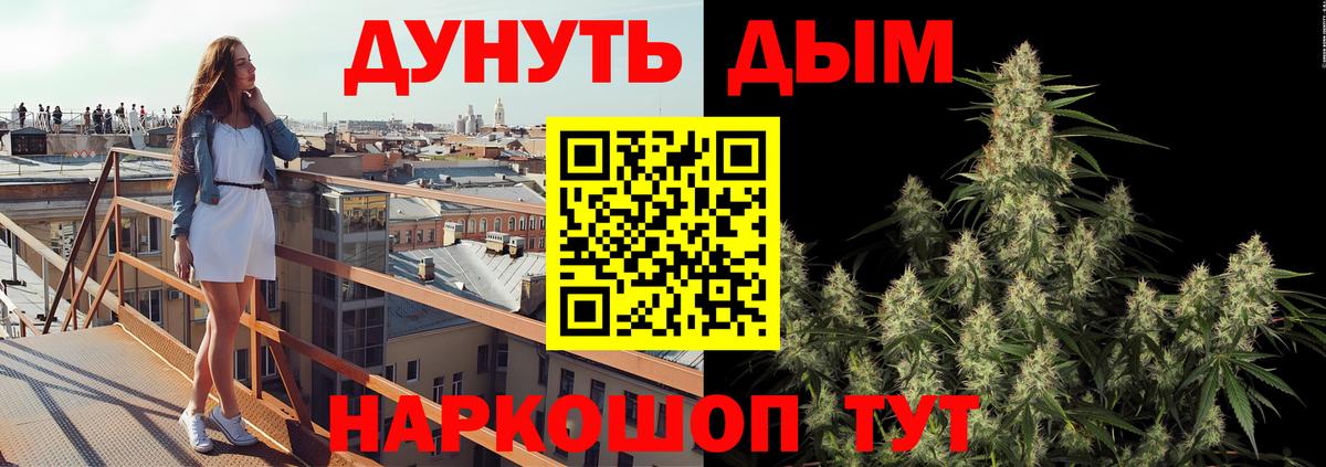 МАРИХУАНА White Widow  Изобильный  Каннабис план  Канабис Amnesia  Марихуана сатива 